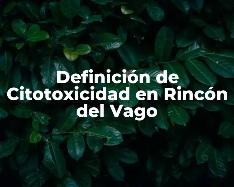 Definición de Citotoxicidad en Rincón del Vago