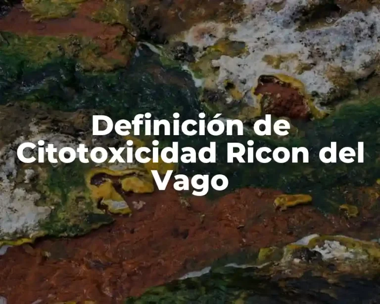 Definición de Citotoxicidad Ricon del Vago