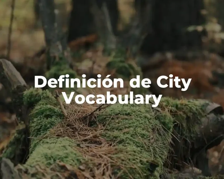 Definición de City Vocabulary