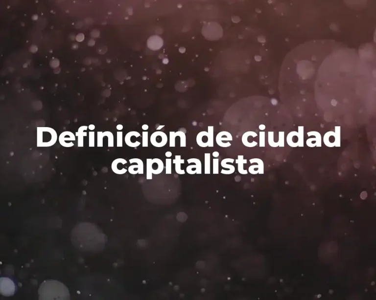 Definición de ciudad capitalista