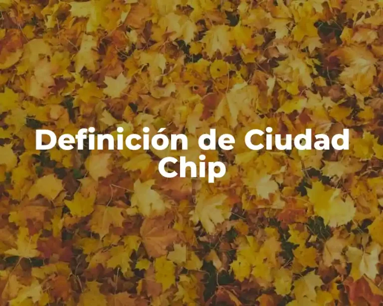 Definición de Ciudad Chip