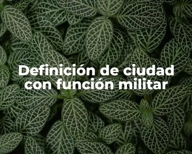 Definición de ciudad con función militar