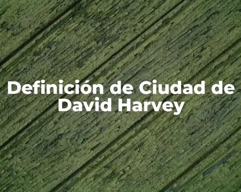Definición de Ciudad de David Harvey