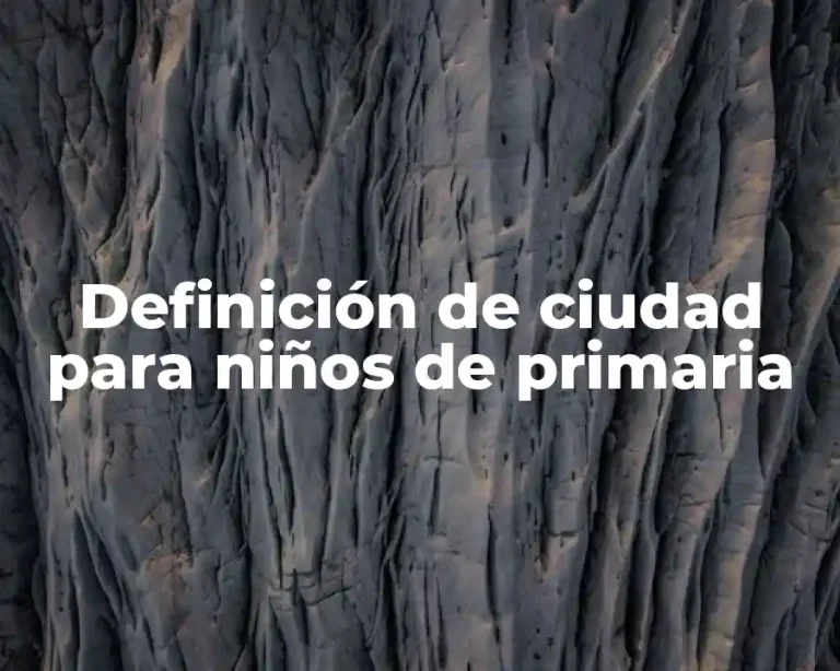 Definición de ciudad para niños de primaria