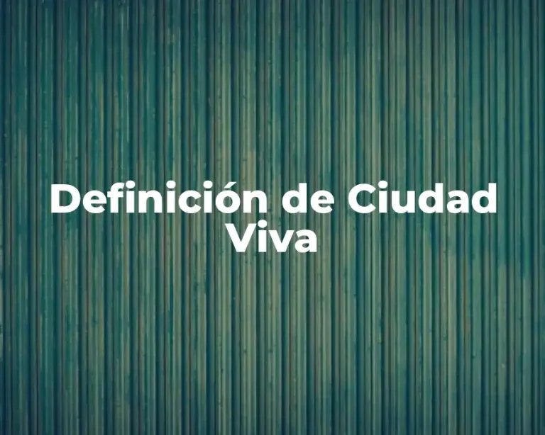 Definición de Ciudad Viva