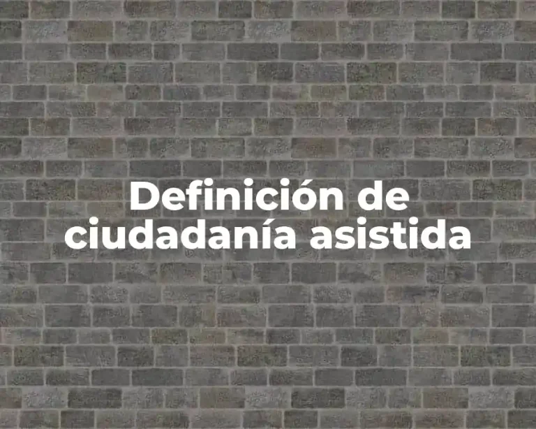 Definición de ciudadanía asistida