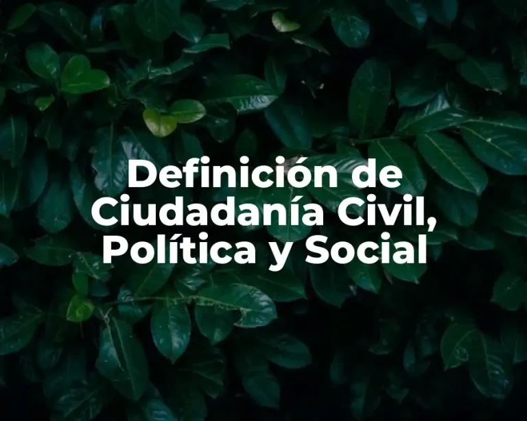 Definición de Ciudadanía Civil, Política y Social