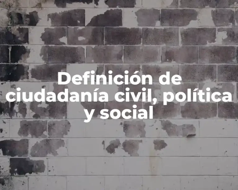 Definición de ciudadanía civil, política y social