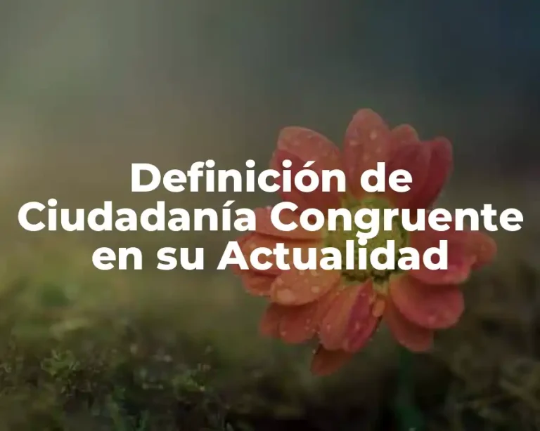 Definición de Ciudadanía Congruente en su Actualidad