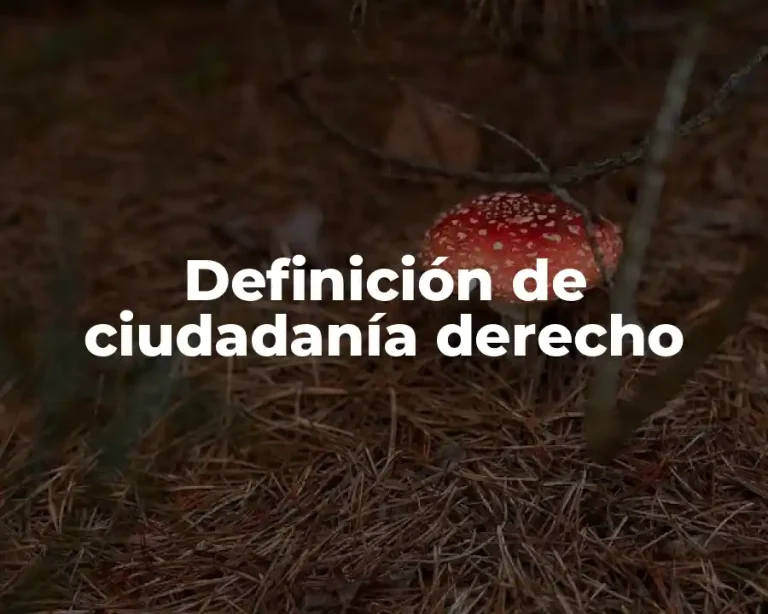Definición de ciudadanía derecho