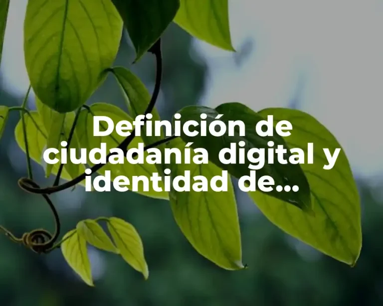 Definición de ciudadanía digital y identidad de ciudadanas digitales