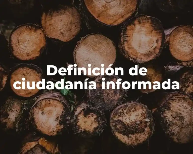 Definición de ciudadanía informada