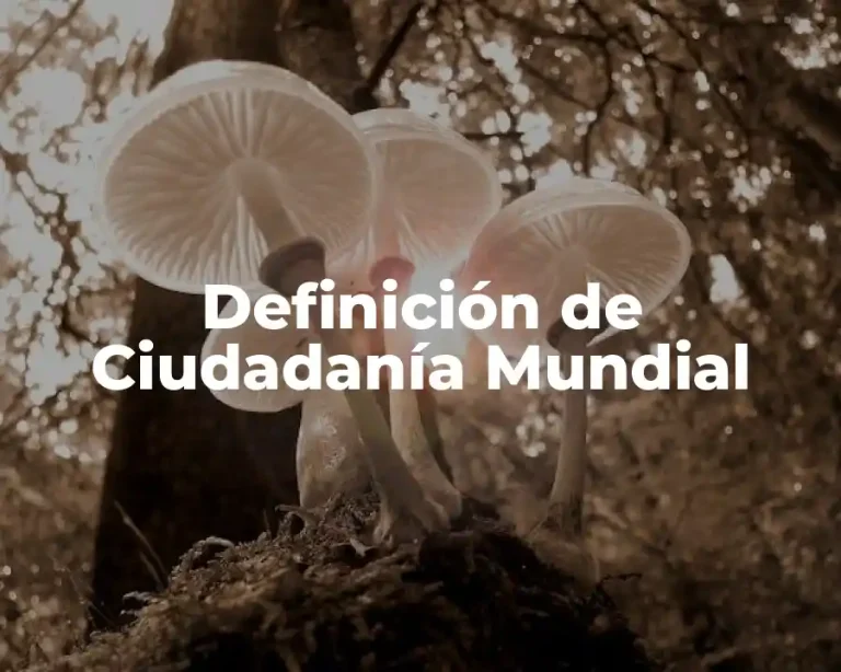 Definición de Ciudadanía Mundial