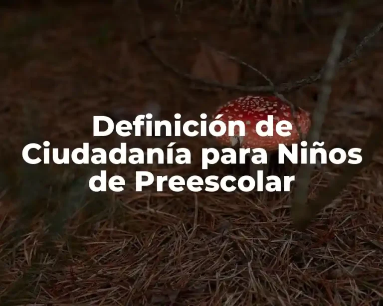 Definición de Ciudadanía para Niños de Preescolar
