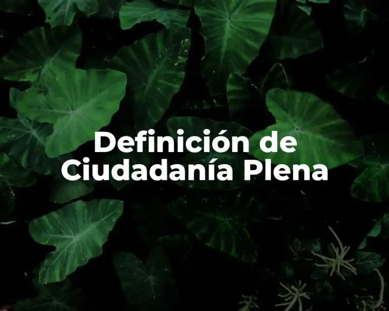 Definición de Ciudadanía Plena