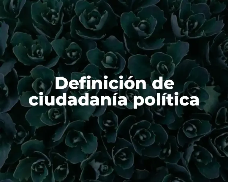 Definición de ciudadanía política