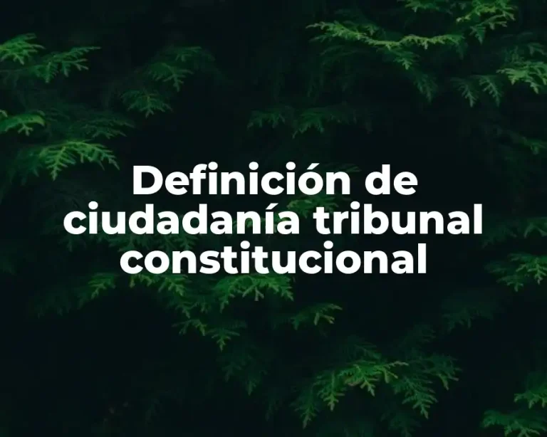 Definición de ciudadanía tribunal constitucional