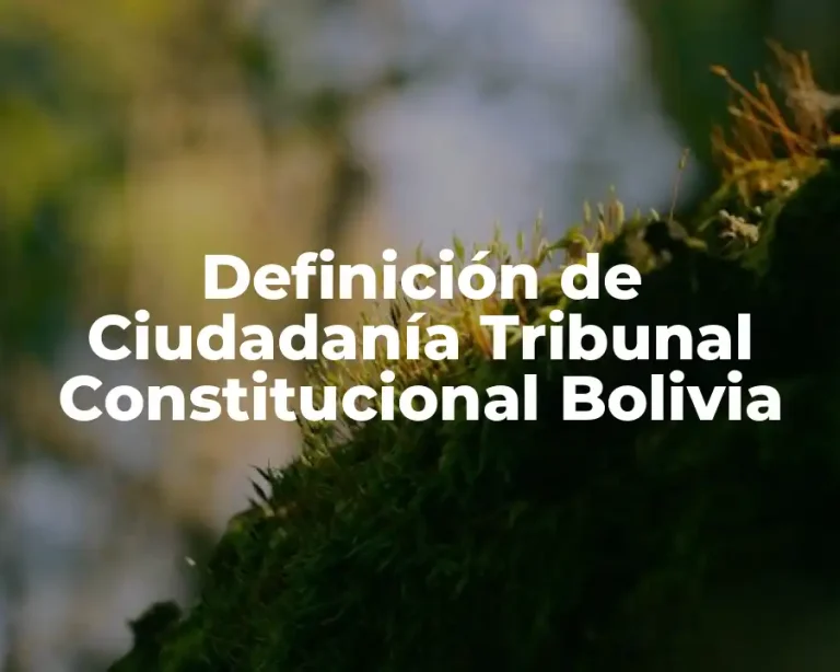 Definición de Ciudadanía Tribunal Constitucional Bolivia