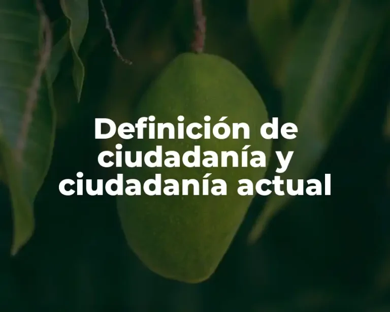 Definición de ciudadanía y ciudadanía actual
