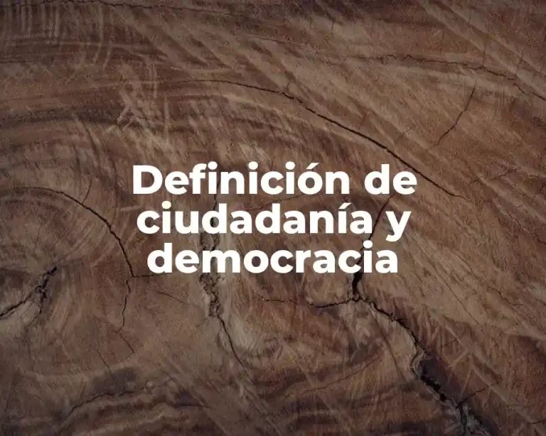 Definición de ciudadanía y democracia