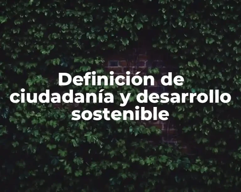Definición de ciudadanía y desarrollo sostenible