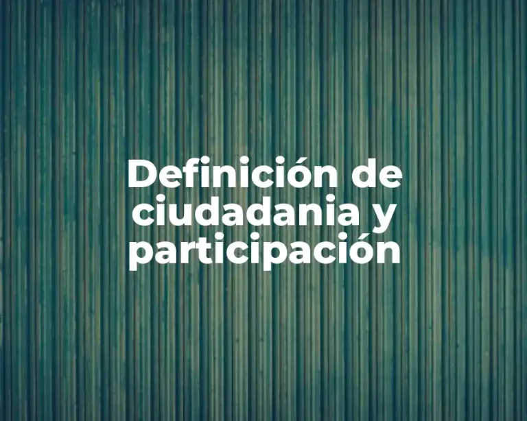 Definición de ciudadania y participación