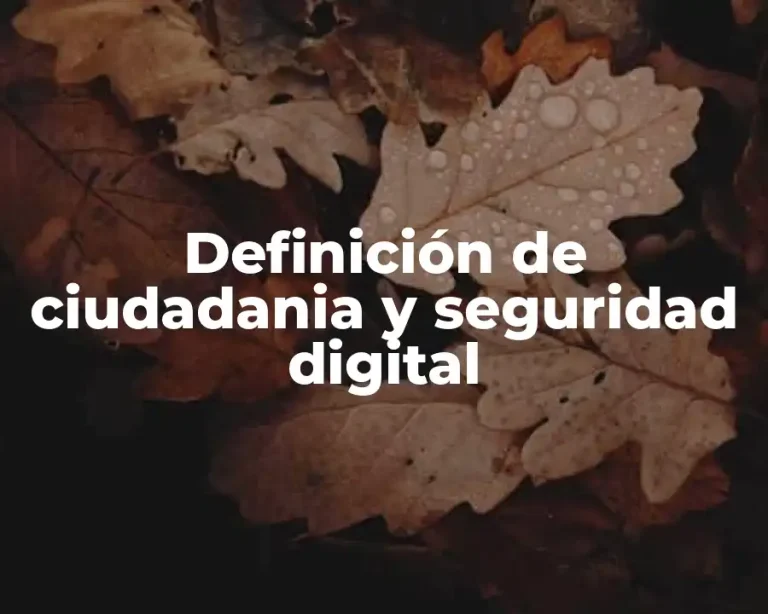 Definición de ciudadania y seguridad digital