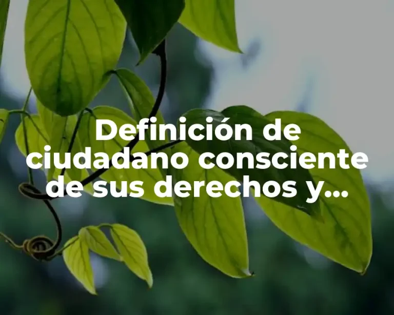 Definición de ciudadano consciente de sus derechos y deberes