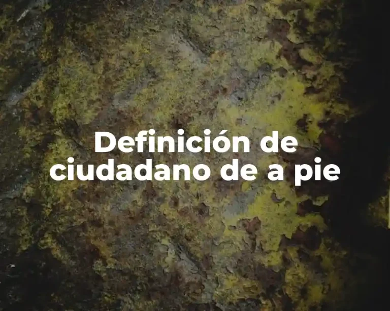 Definición de ciudadano de a pie