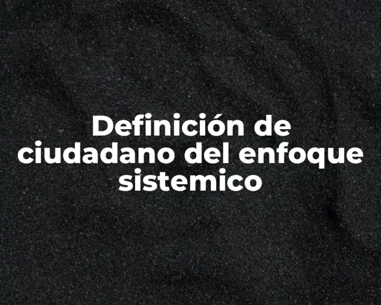 Definición de ciudadano del enfoque sistemico