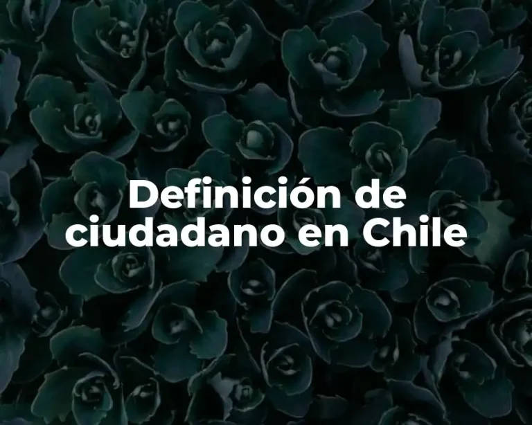 Definición de ciudadano en Chile