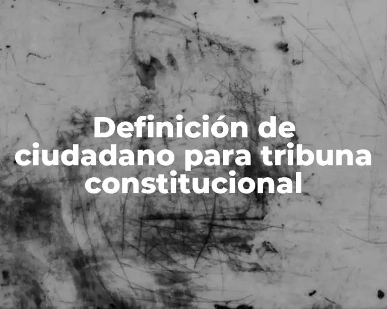 Definición de ciudadano para tribuna constitucional