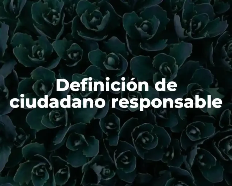 Definición de ciudadano responsable