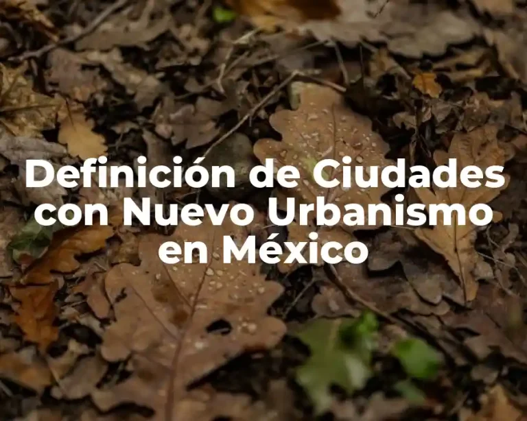 Definición de Ciudades con Nuevo Urbanismo en México