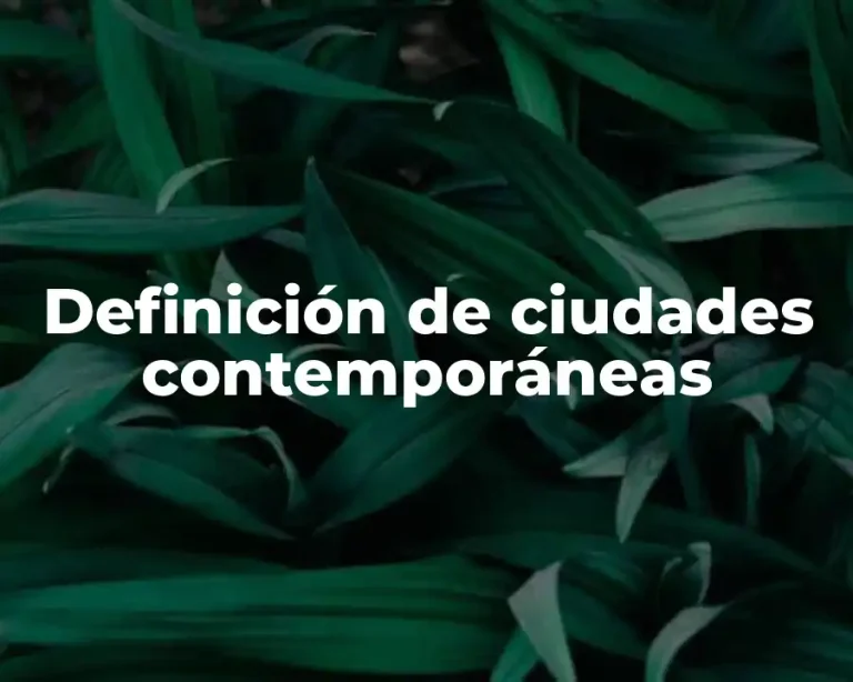 Definición de ciudades contemporáneas