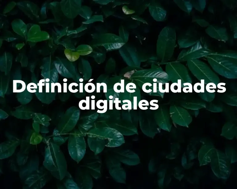 Definición de ciudades digitales