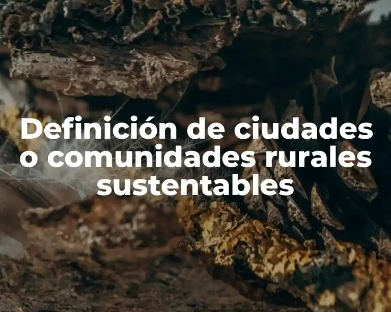 Definición de ciudades o comunidades rurales sustentables