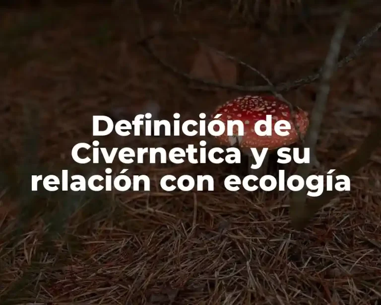 Definición de Civernetica y su relación con ecología