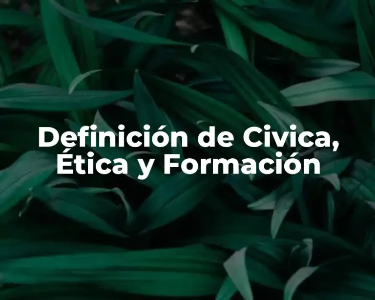 Definición de Civica, Ética y Formación