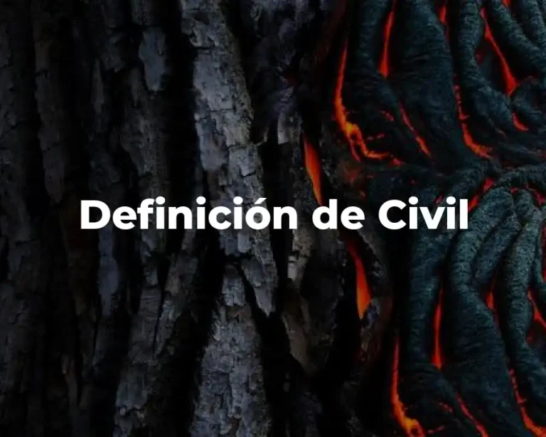 Definición de Civil