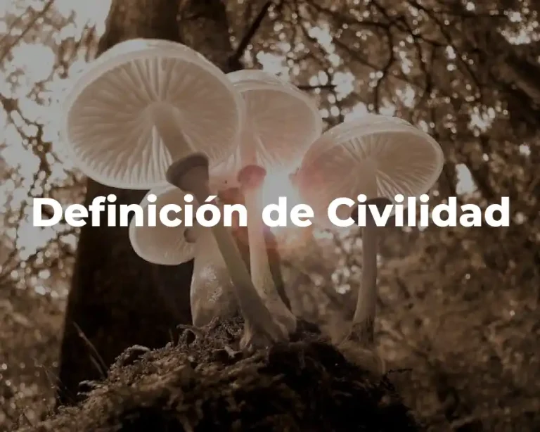 Definición de Civilidad