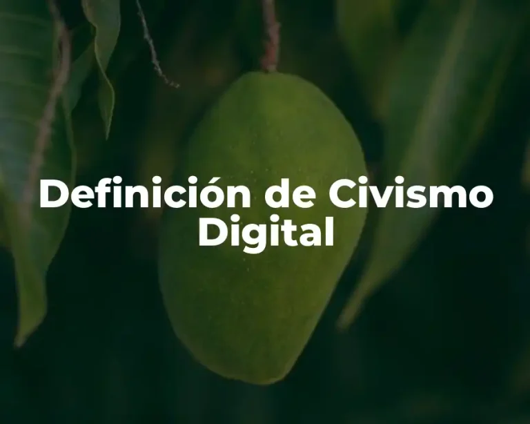 Definición de Civismo Digital