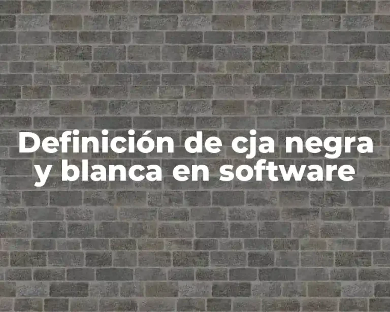 Definición de cja negra y blanca en software