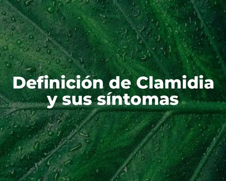 Definición de Clamidia y sus síntomas