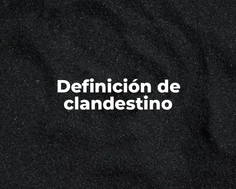 Definición de clandestino