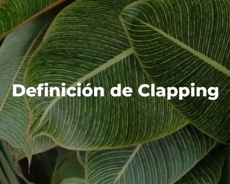 Definición de Clapping