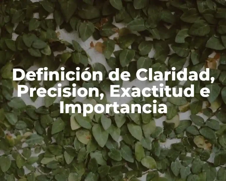 Definición de Claridad, Precision, Exactitud e Importancia