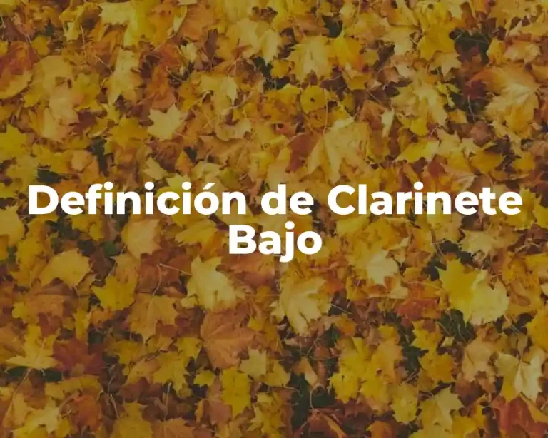 Definición de Clarinete Bajo