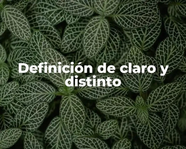 Definición de claro y distinto