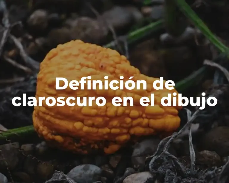 Definición de claroscuro en el dibujo